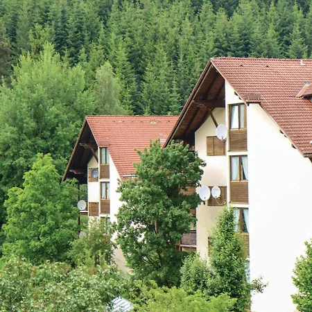 Apartman 0-bedroom In Bayer. Eisenstein